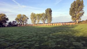 IMG-20260927-WA0000